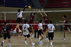 F1：红牛RB17限量版亮相全球